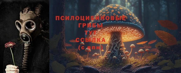 МДПВ Пролетарск