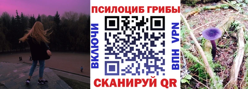 Галлюциногенные грибы Cubensis  Емва 